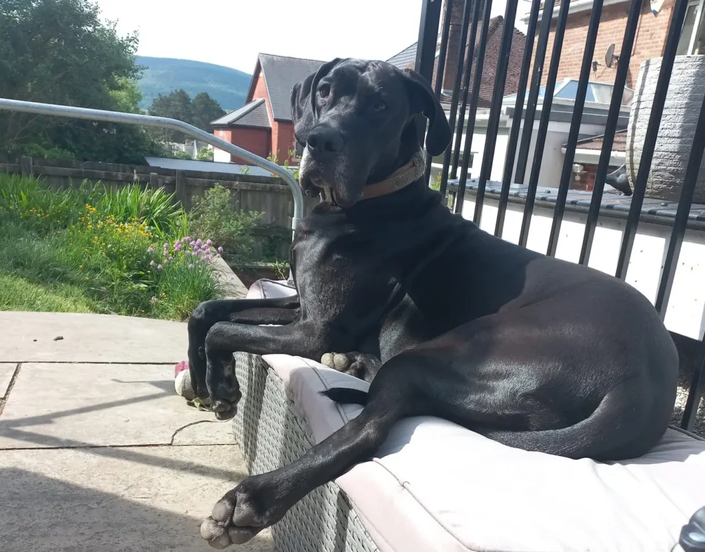 Simple Ways to Stay Grounded and Happy Every Day