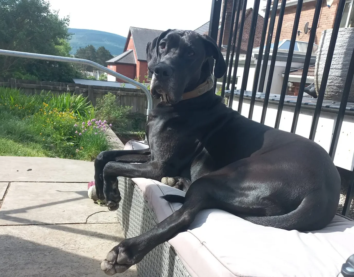 20250523 103352 Scaled E1761163940223