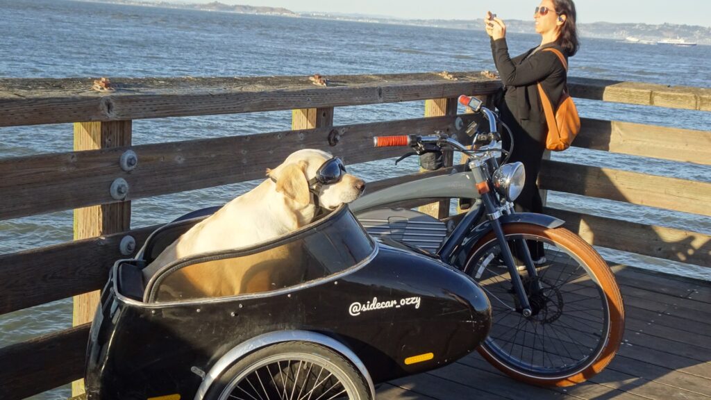 fishermans wharf (2)