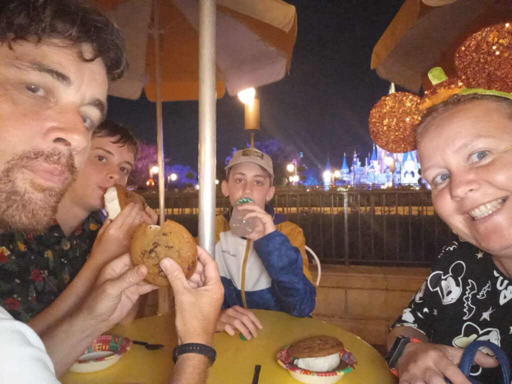 magic kingdom at night